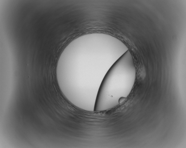 X0000116630661200912111002
