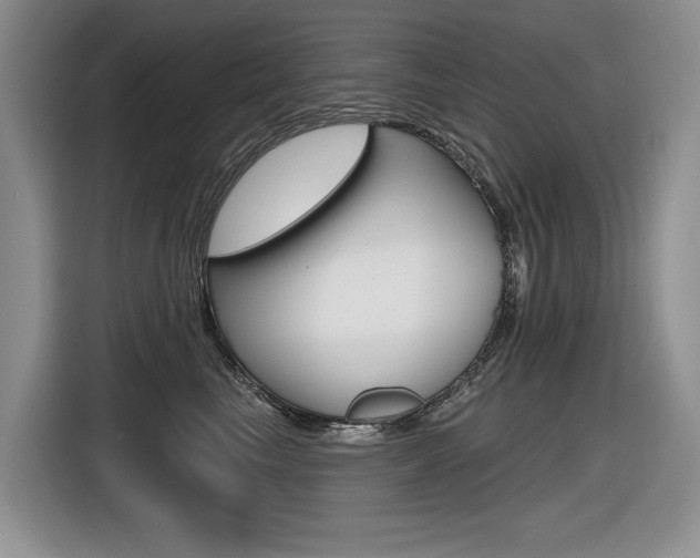 X0000116630665200912111002