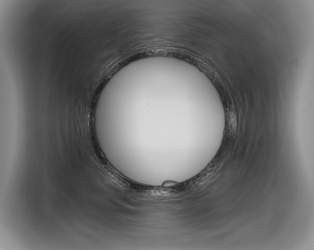 X0000116630668200912111002