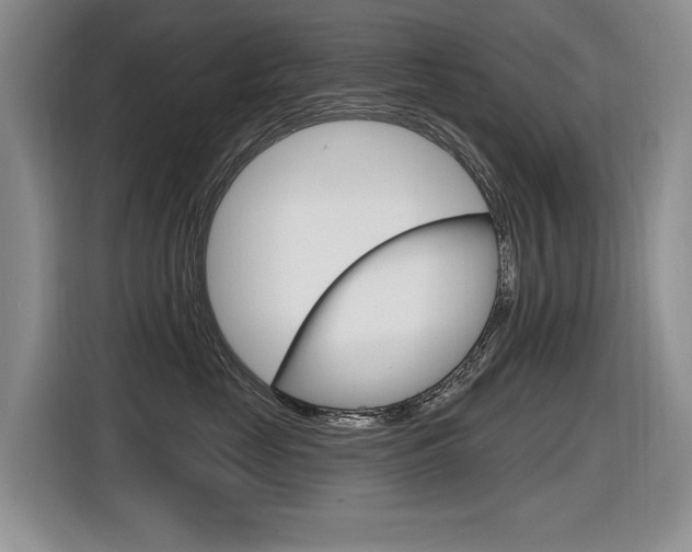 X0000116630669200912111002