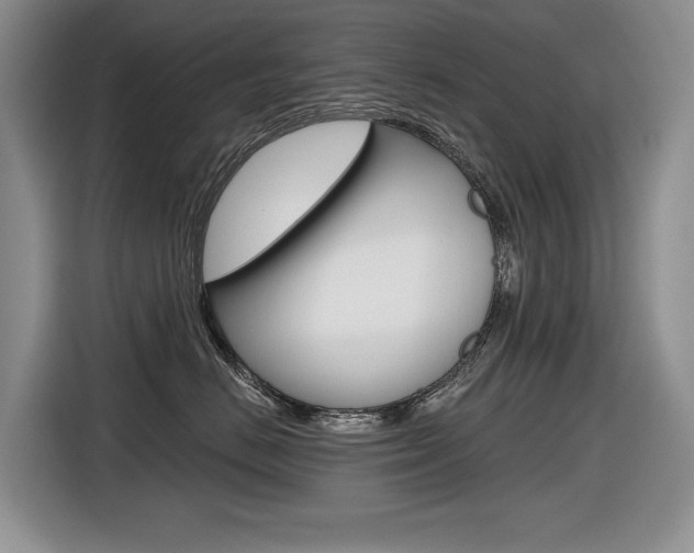 X0000116630670200912111002