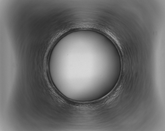 X0000116630673200912111001