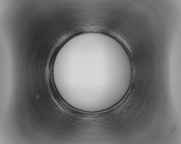 X0000116630674200912111001