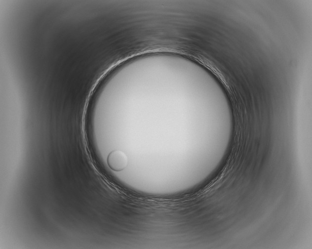 X0000116630676200912111001