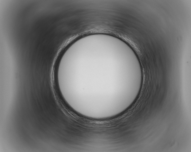 X0000116630678200912111001