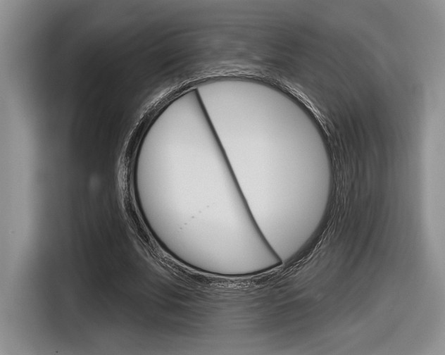 X0000116630679200912111001