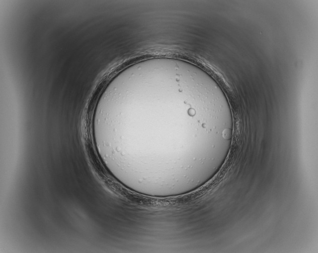 X0000116630682200912111001