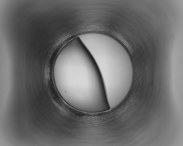 X0000116630683200912111001