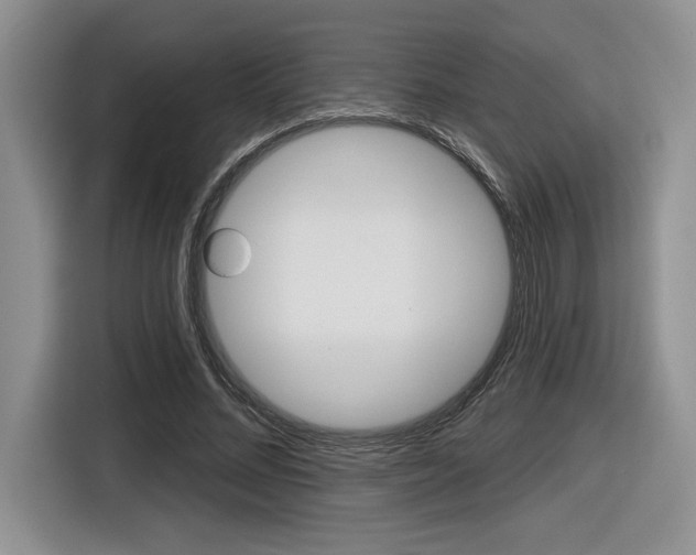 X0000116630684200912111001