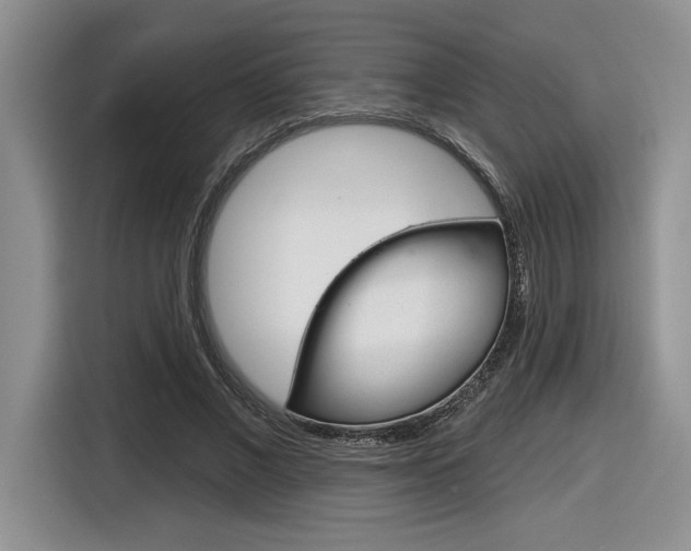 X0000116630685200912111001
