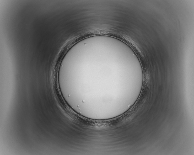 X0000116630686200912111001