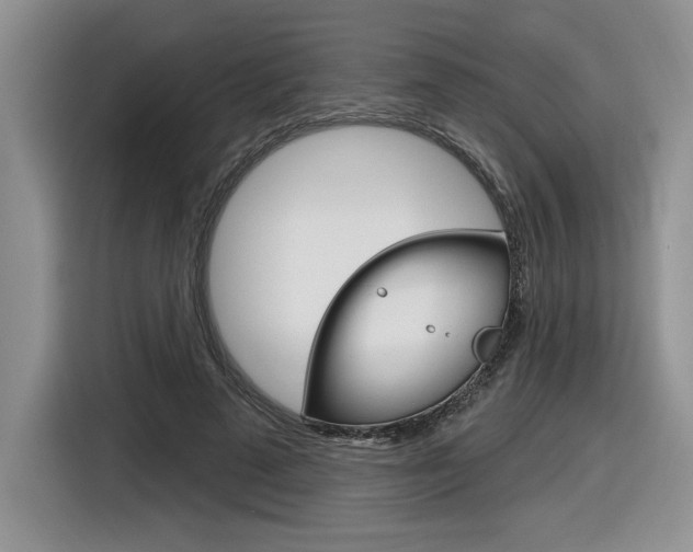 X0000116630689200912111001