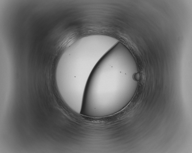 X0000116630691200912111001