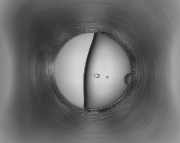 X0000116630695200912111001