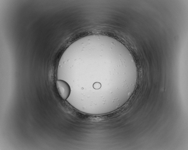 X0000116630698200912111001
