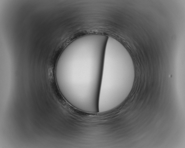 X0000116630699200912111001