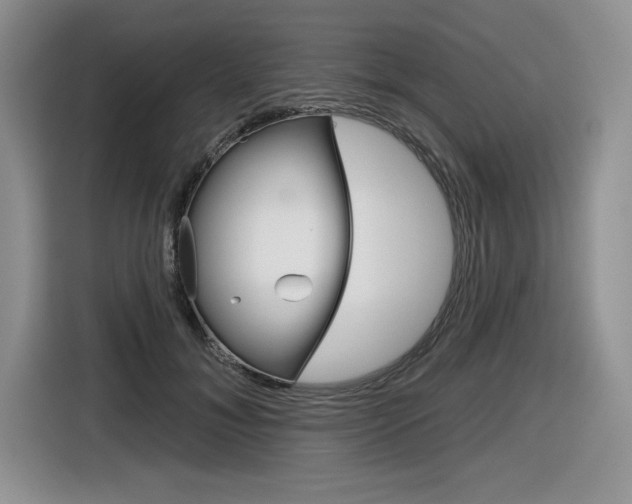 X0000116630700200912111001