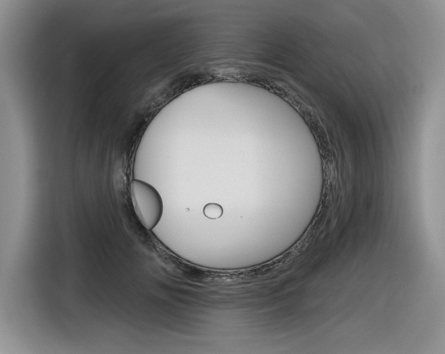 X0000116630702200912111001