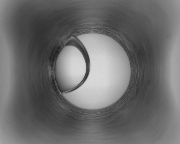 X0000116630704200912111001