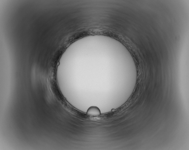 X0000116630706200912111001