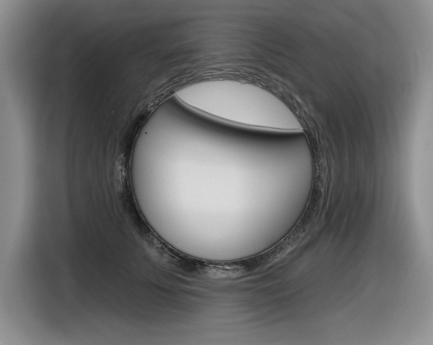 X0000116630707200912111001