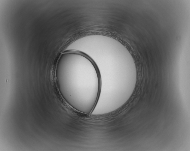 X0000116630708200912111001