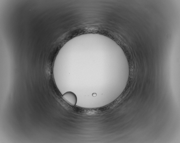 X0000116630710200912111001