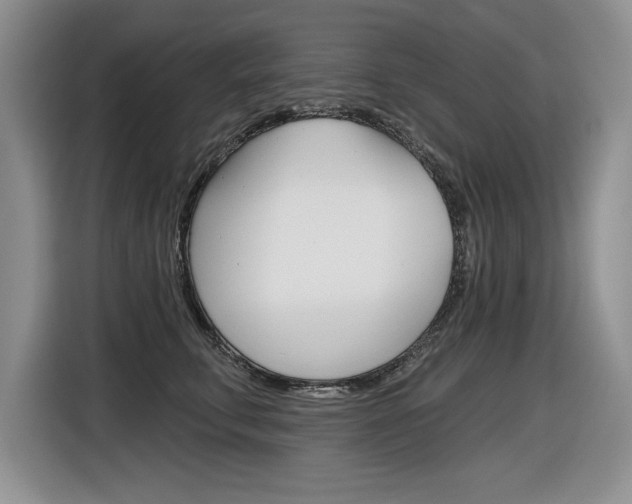 X0000116630711200912111001
