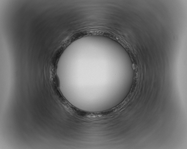 X0000116630712200912111001