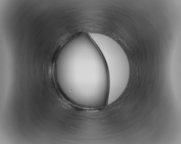 X0000116630716200912111001