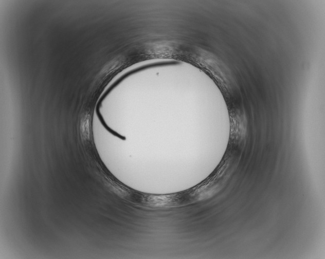 X0000116630717200912111001