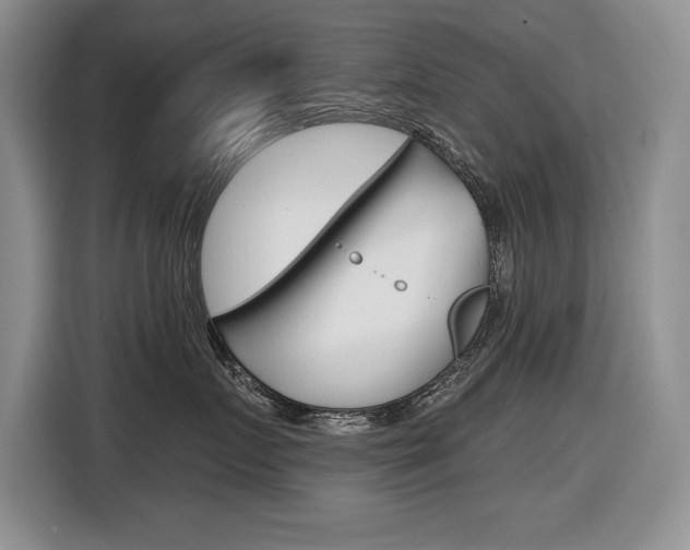X0000116630719200912111001