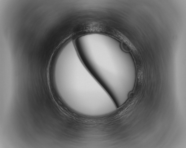 X0000116630722200912111000