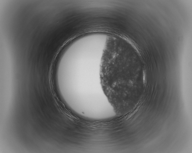 X0000116630723200912111000