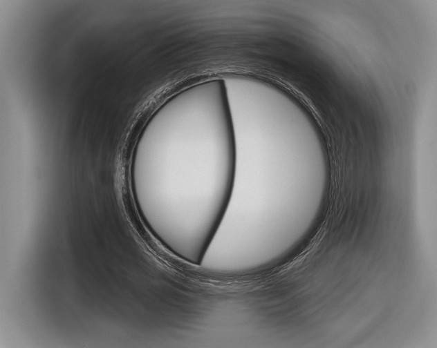 X0000116630725200912111000