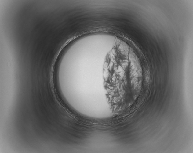 X0000116630727200912111000