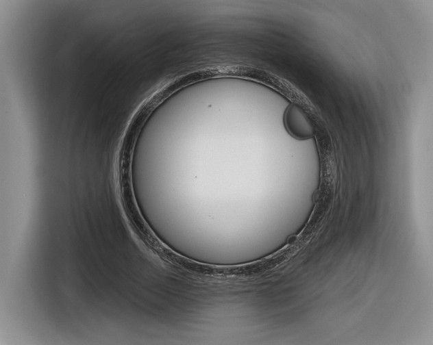 X0000116630730200912111000