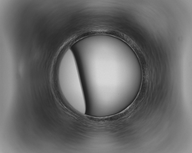 X0000116630731200912111000