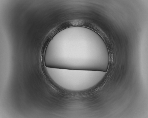 X0000116630733200912111000
