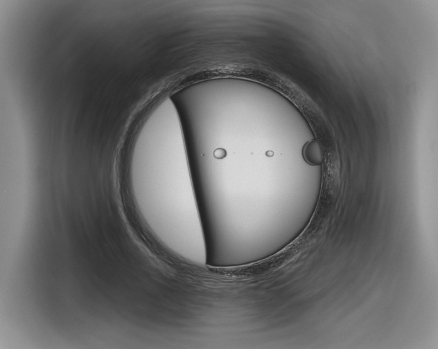 X0000116630734200912111000