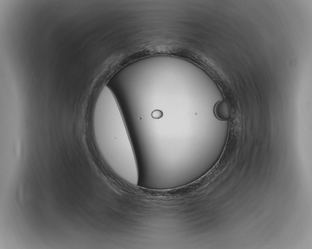 X0000116630738200912111000