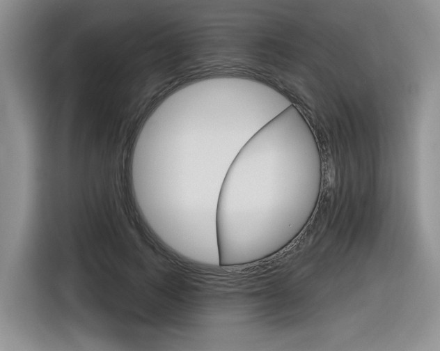 X0000116630743200912111000