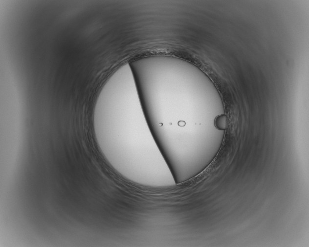 X0000116630747200912111000