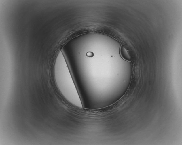 X0000116630750200912111000