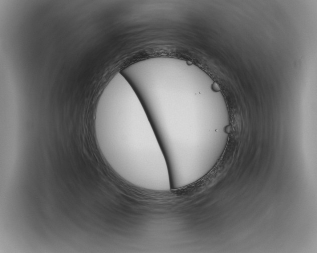 X0000116630751200912111000