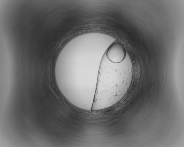 X0000116630755200912111000