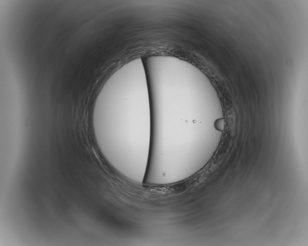 X0000116630757200912111000