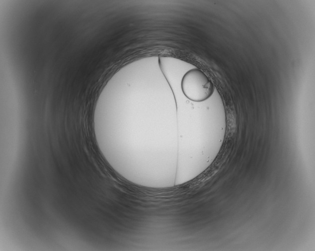 X0000116630759200912111000
