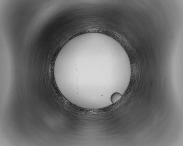 X0000116630761200912111001