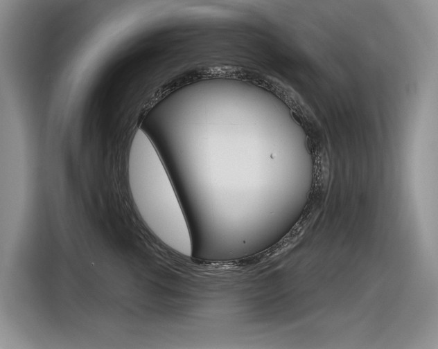 X0000116630762200912111001